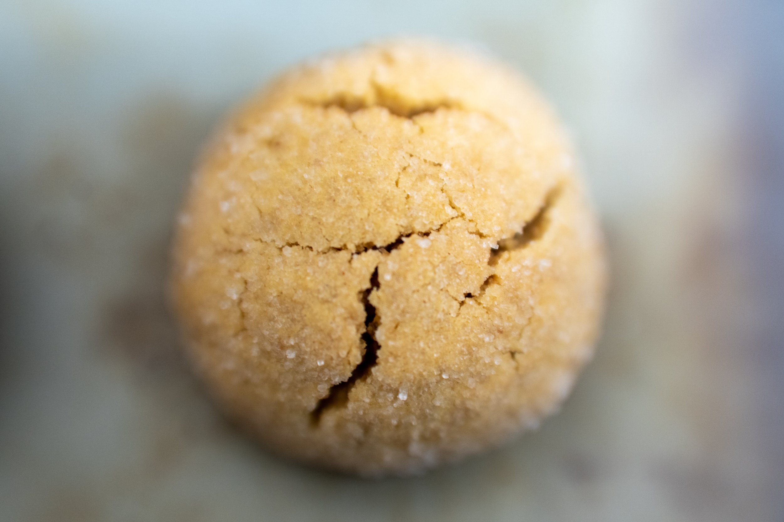 Peanut Butter Blossoms photo