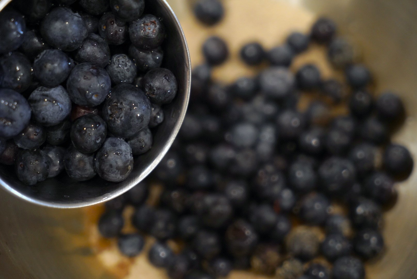 Blueberry Coffee Cake photo