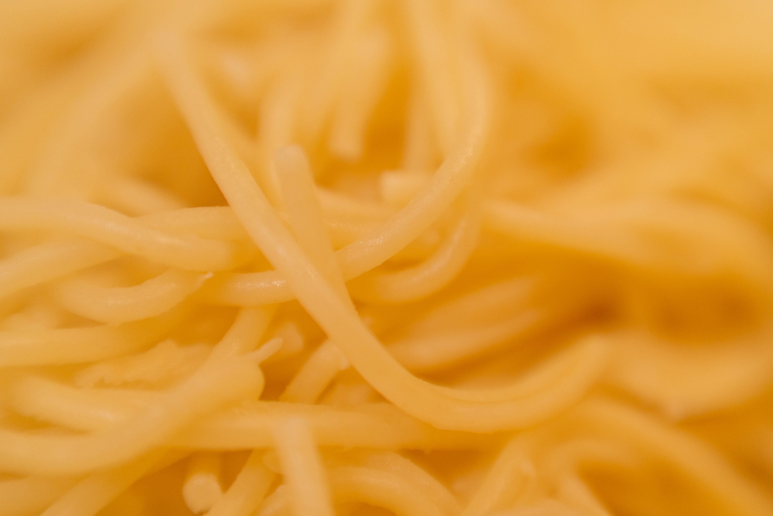 Clam Spaghetti photo
