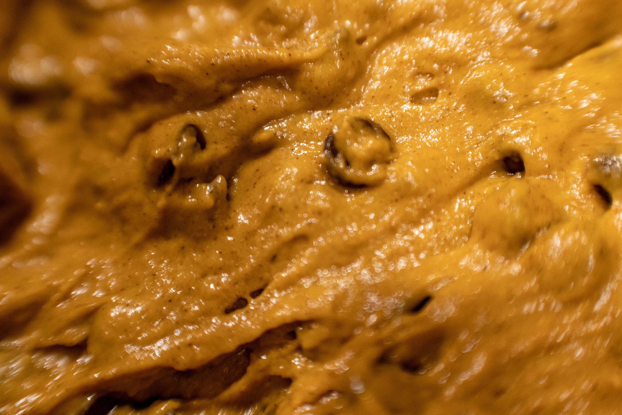 Pumpkin Chocolate Chip Cookies photo
