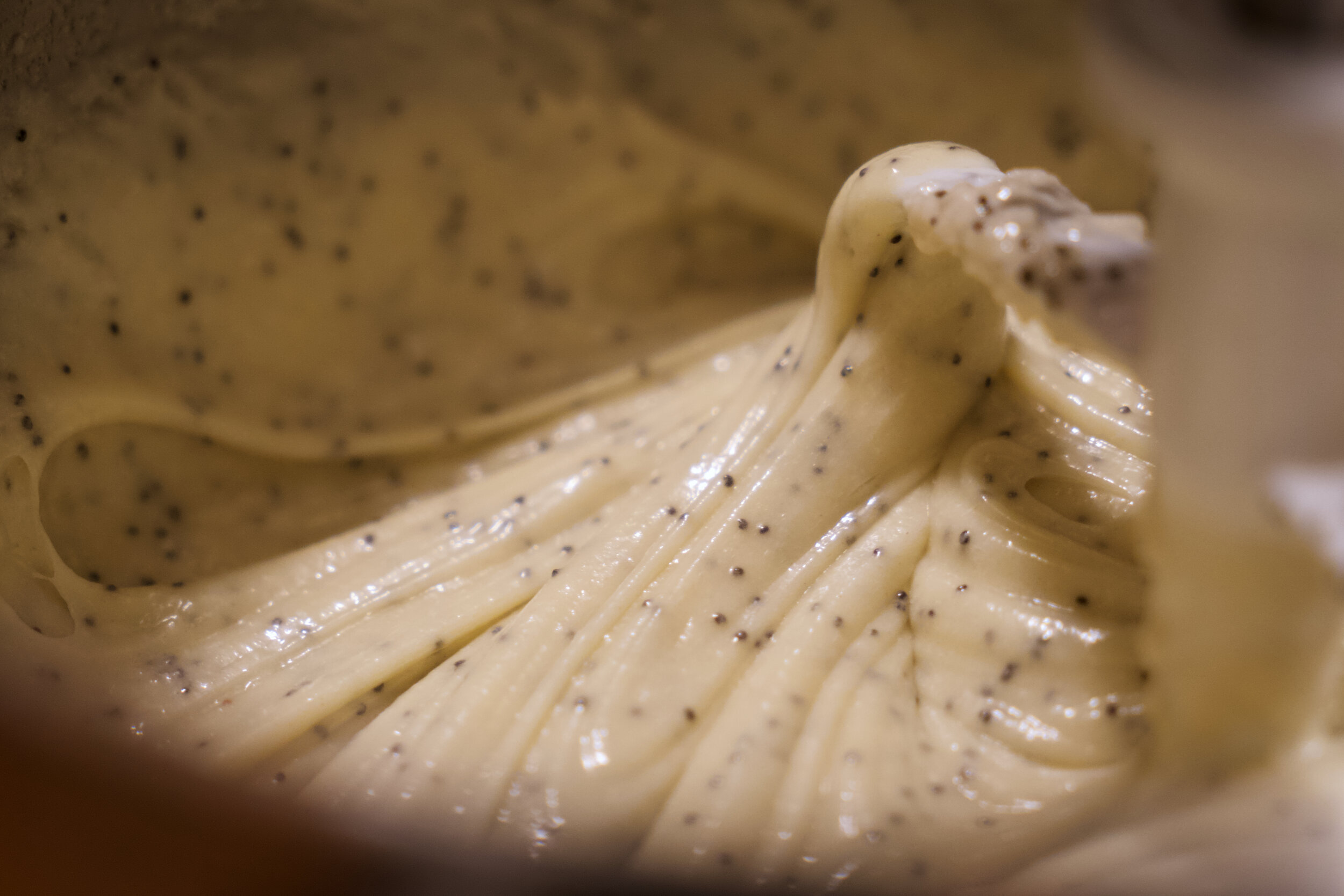 Poppy Seed Cake photo