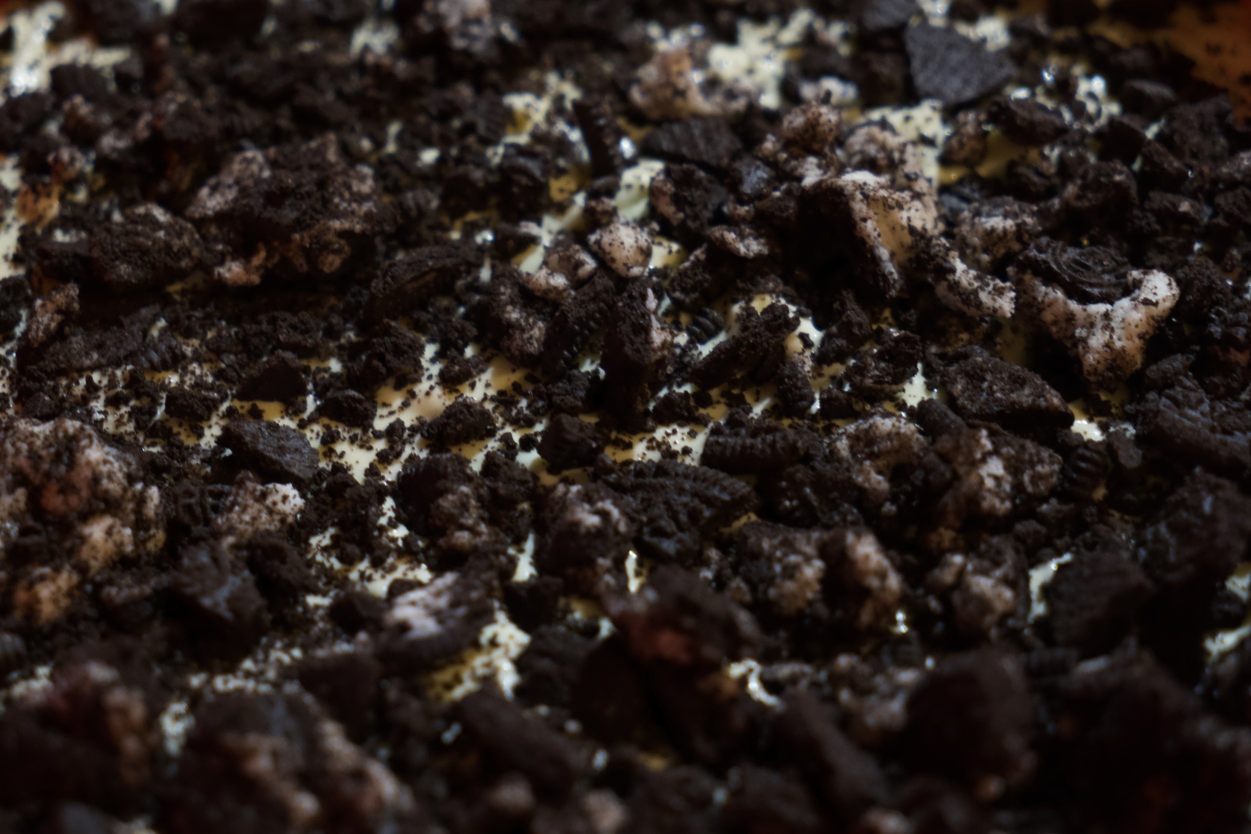 Mud Pie photo