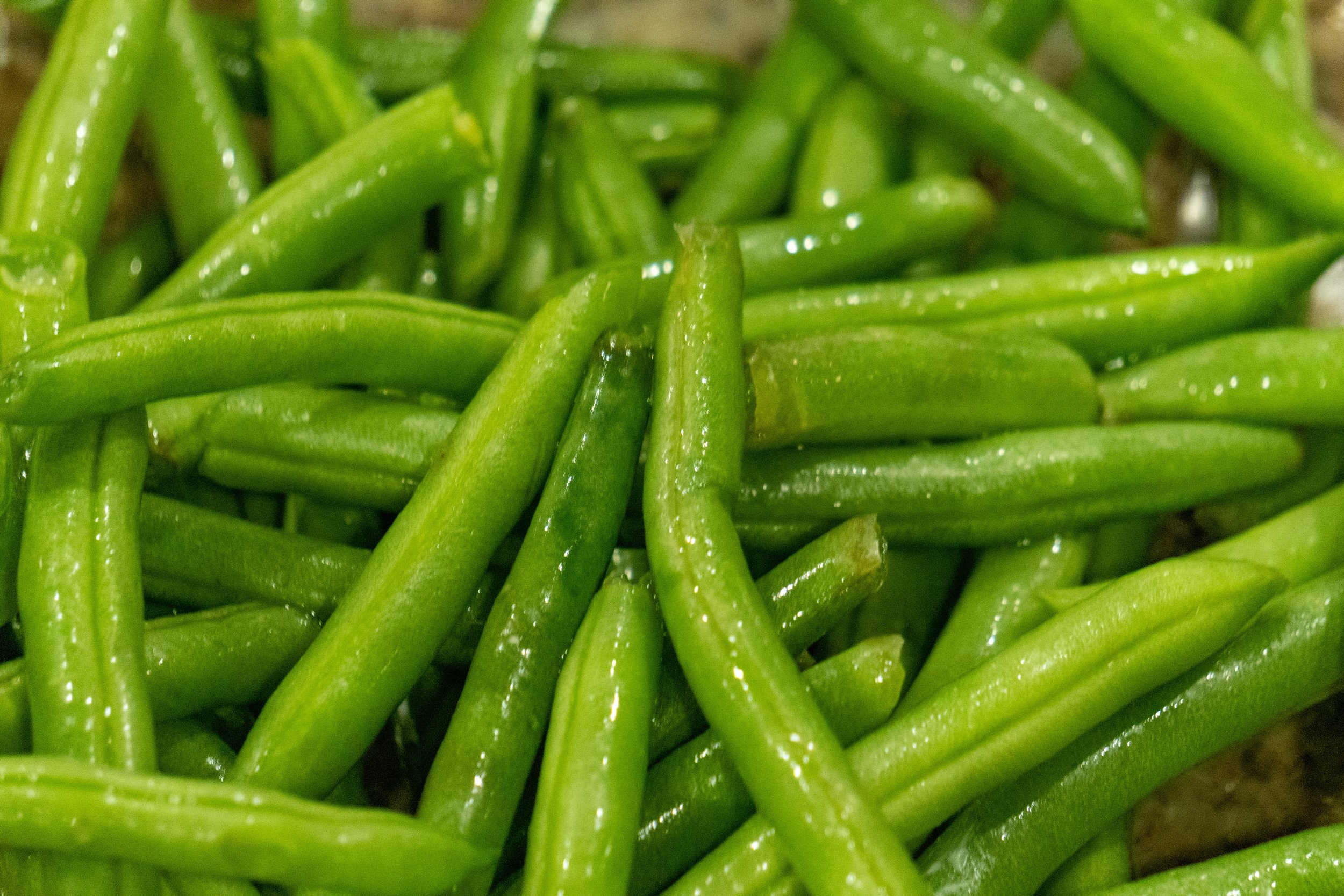 Green Bean Casserole photo