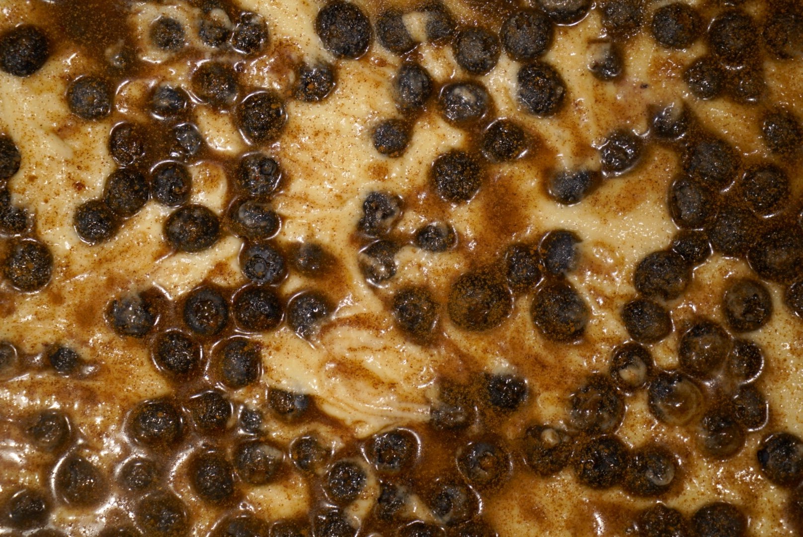 Blueberry Coffee Cake photo