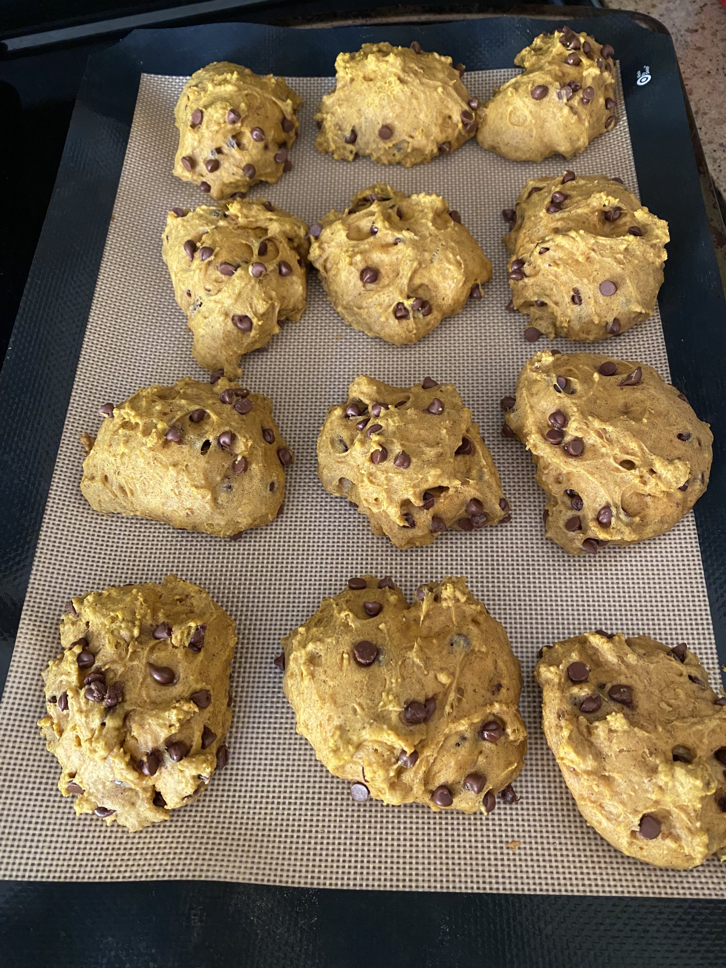 Pumpkin Chocolate Chip Cookies photo