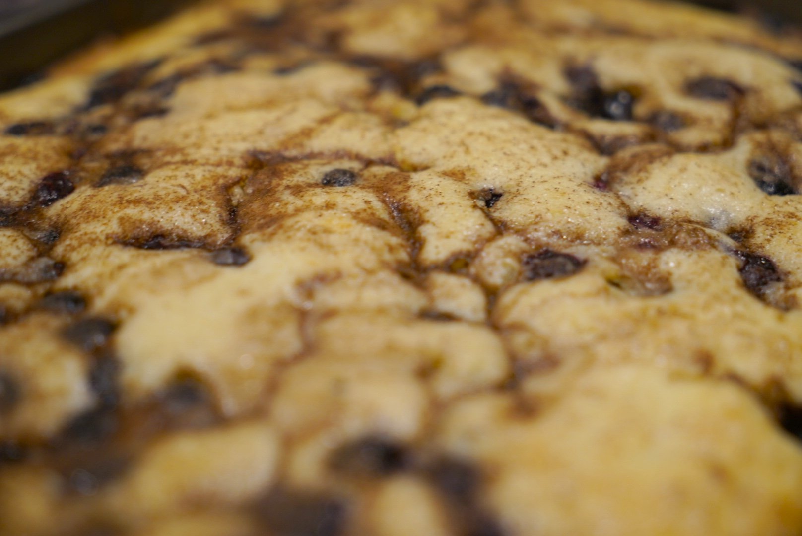 Blueberry Coffee Cake photo