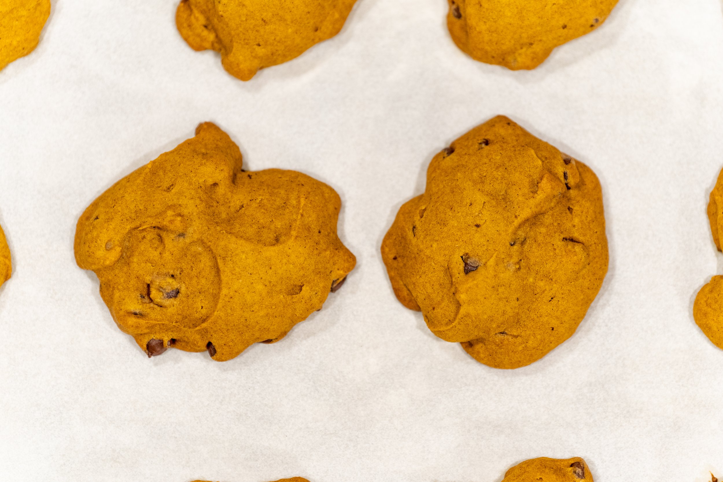 Pumpkin Chocolate Chip Cookies photo