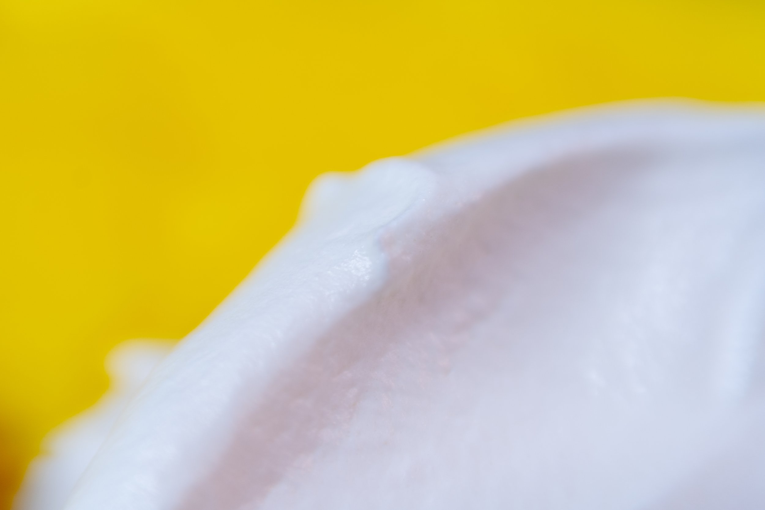 Lemon Lush photo