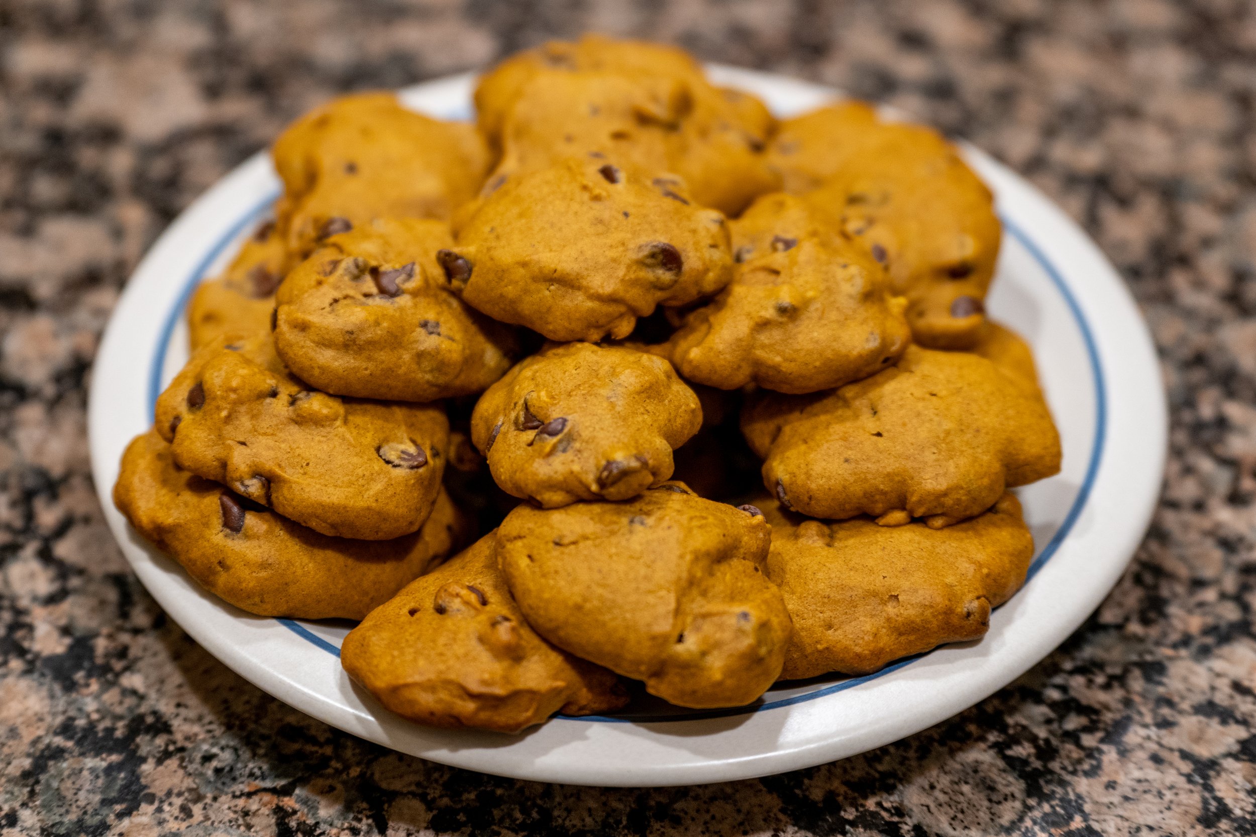 Pumpkin Chocolate Chip Cookies photo
