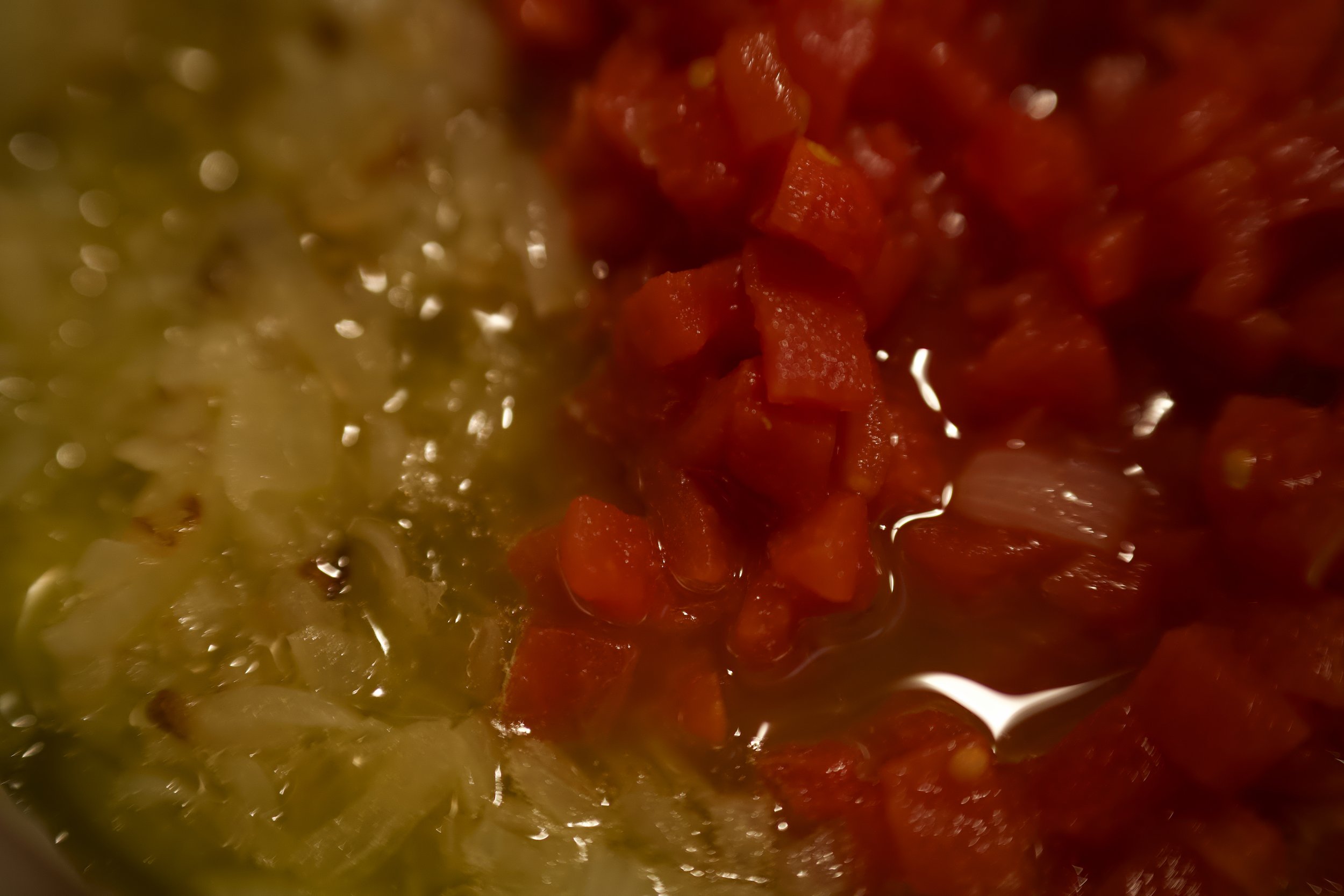 Lasagna photo