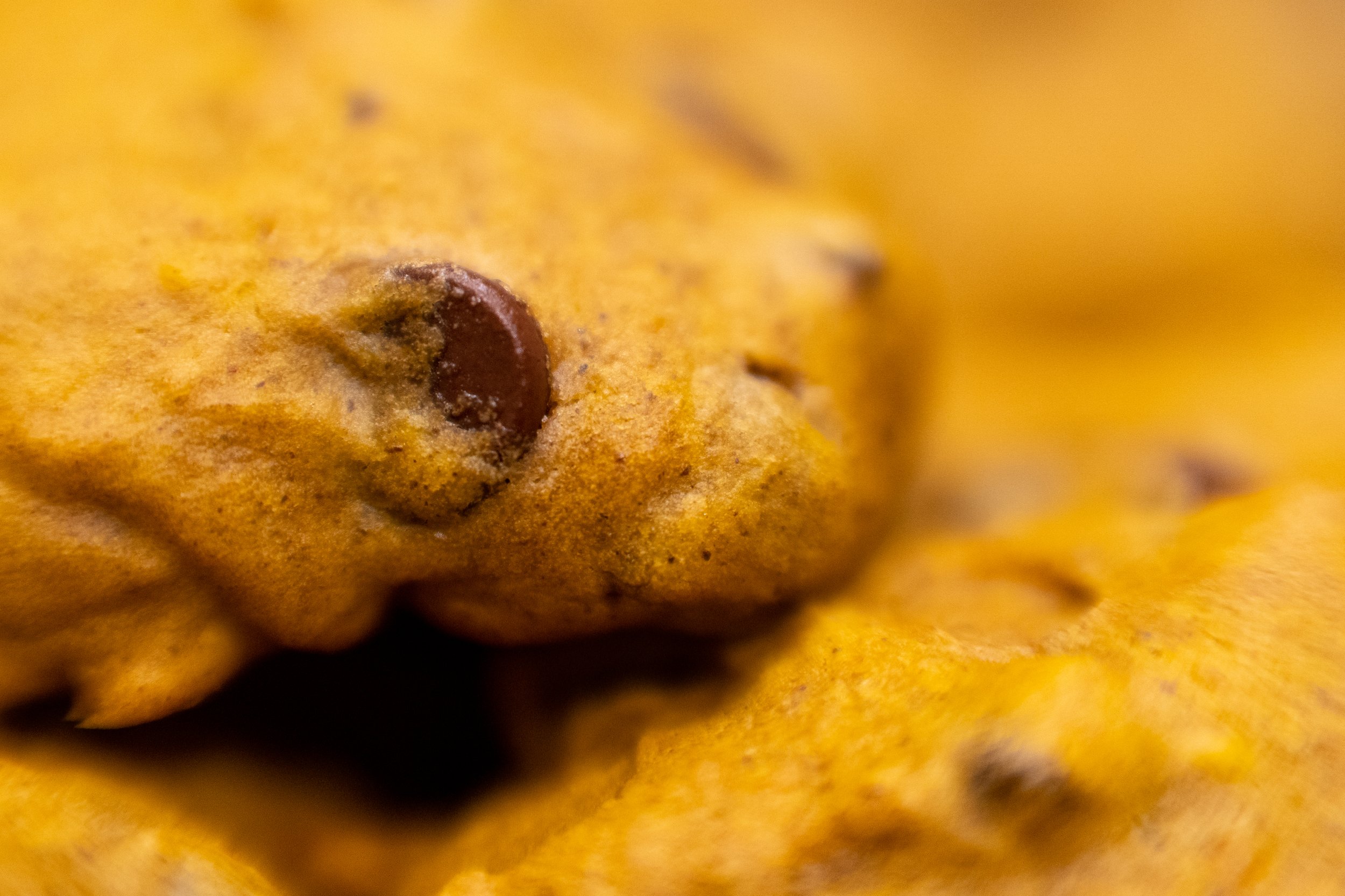 Pumpkin Chocolate Chip Cookies