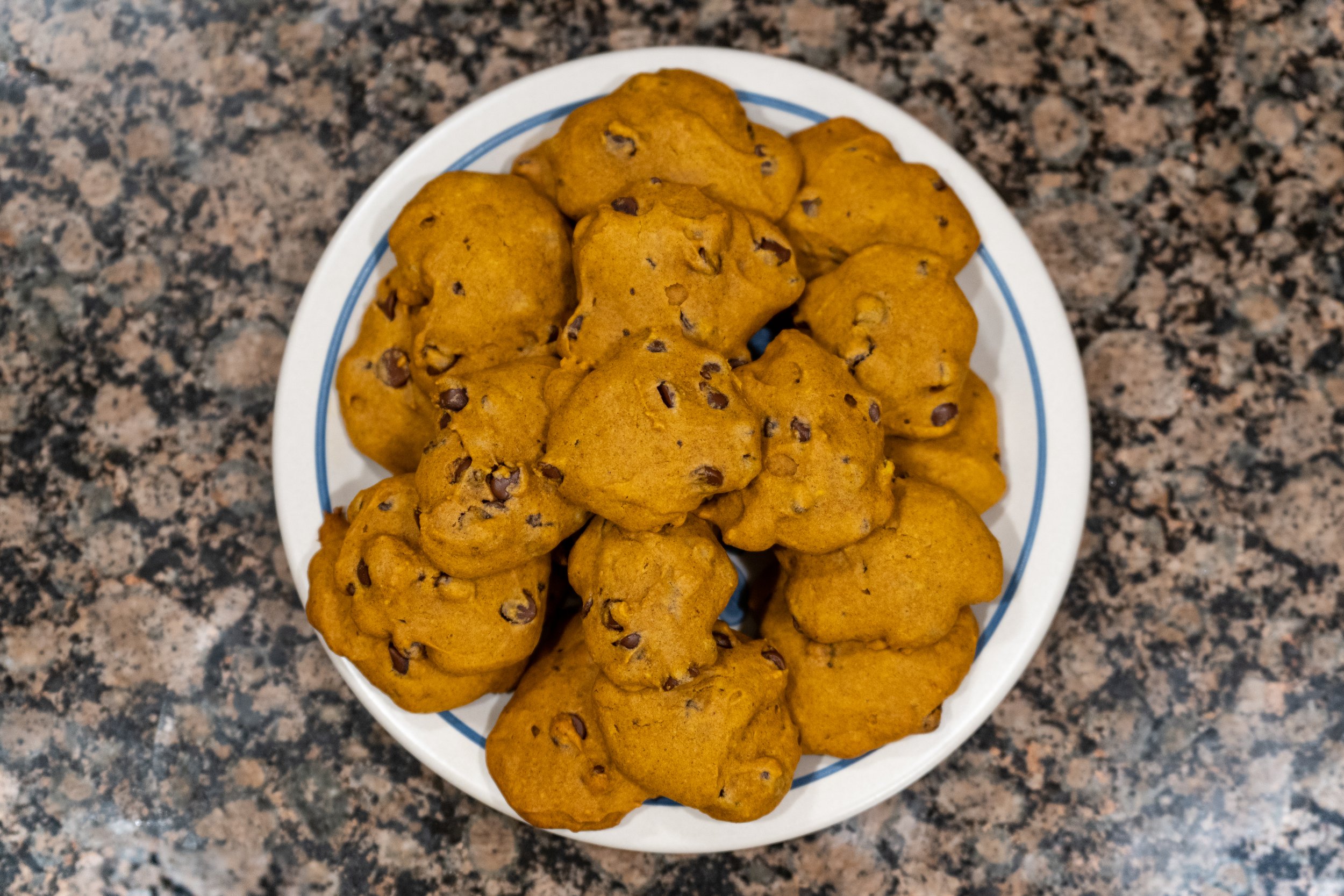 Pumpkin Chocolate Chip Cookies photo
