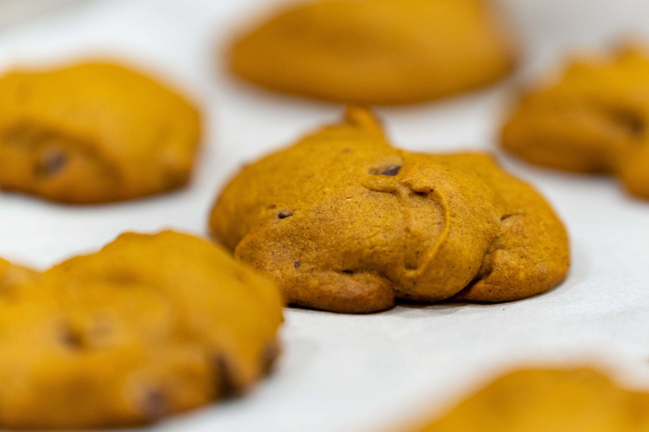Pumpkin Chocolate Chip Cookies photo