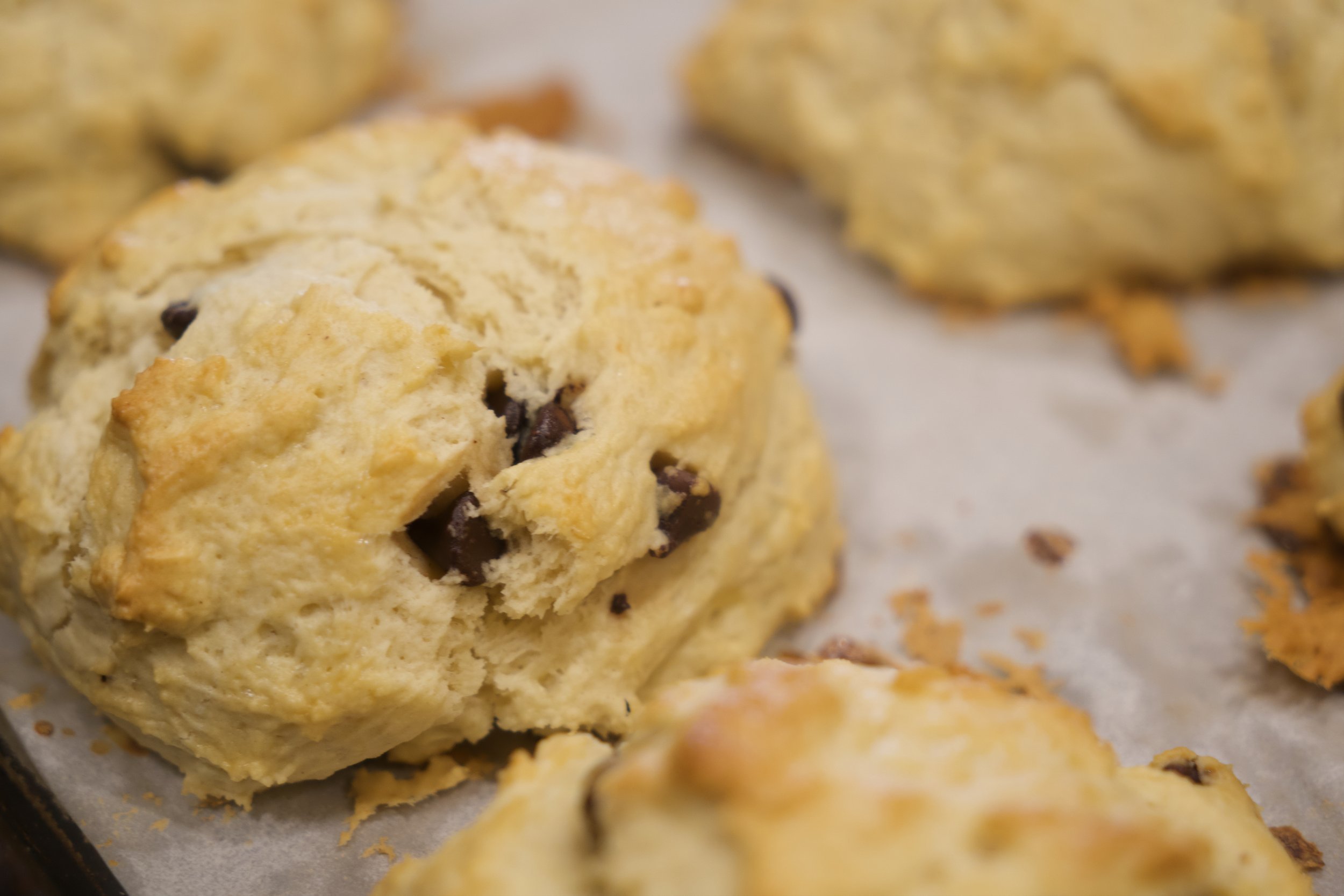 Chocolate Chip Scones photo